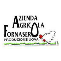 https://freedomfc.it/wp-content/uploads/Sponsor_fornasero-prod-uova_c.jpg