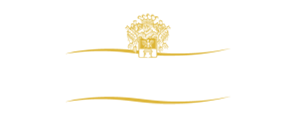 https://freedomfc.it/wp-content/uploads/logo-TOSO_b.png